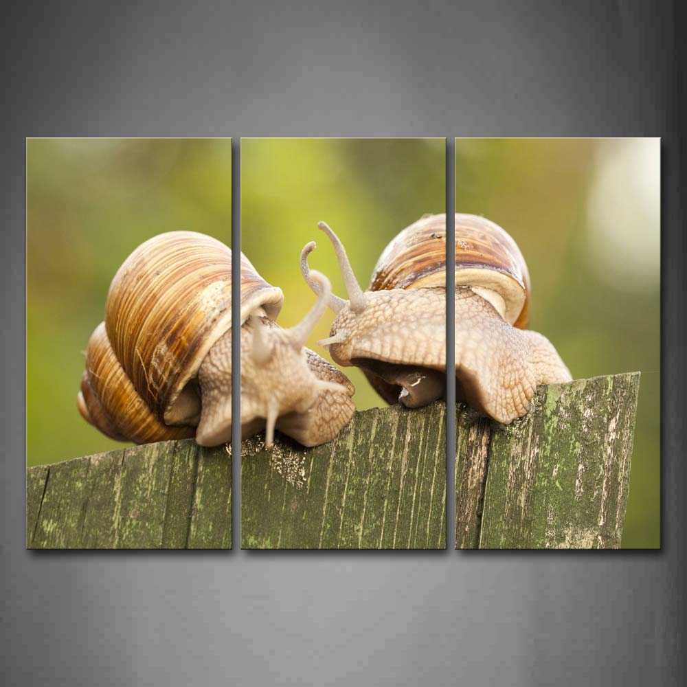 Snail Crawl On Wood Wall Art Painting Pictures Print On Canvas Animal The Picture For Home Modern Decoration 