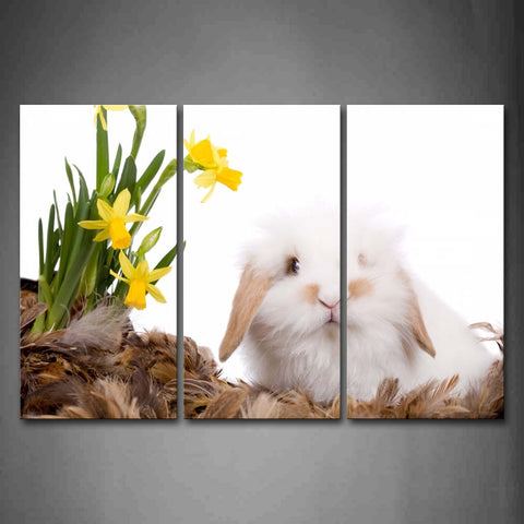 White Rabbit Sit On Brown Feather And Near Flower Wall Art Painting Pictures Print On Canvas Animal The Picture For Home Modern Decoration 