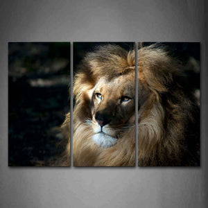 Lion Stare At Front  Wall Art Painting The Picture Print On Canvas Animal Pictures For Home Decor Decoration Gift 