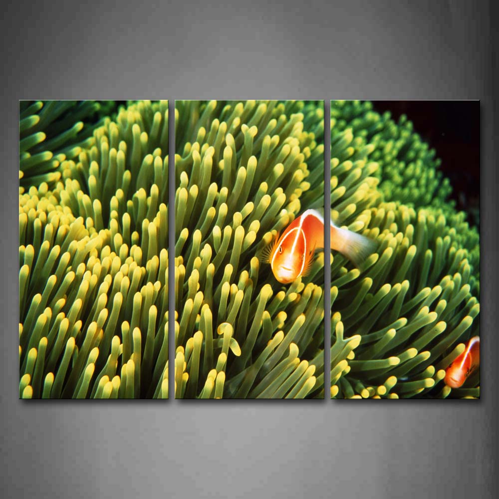 Two Orange Fishs Over Coral Wall Art Painting Pictures Print On Canvas Animal The Picture For Home Modern Decoration 