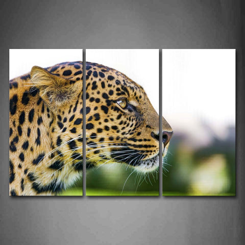 Leopard Head  Wall Art Painting Pictures Print On Canvas Animal The Picture For Home Modern Decoration 