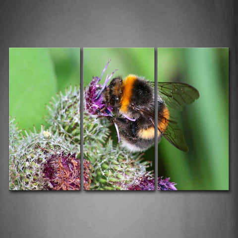 Bee Is Gather Honey Wall Art Painting Pictures Print On Canvas Animal The Picture For Home Modern Decoration 