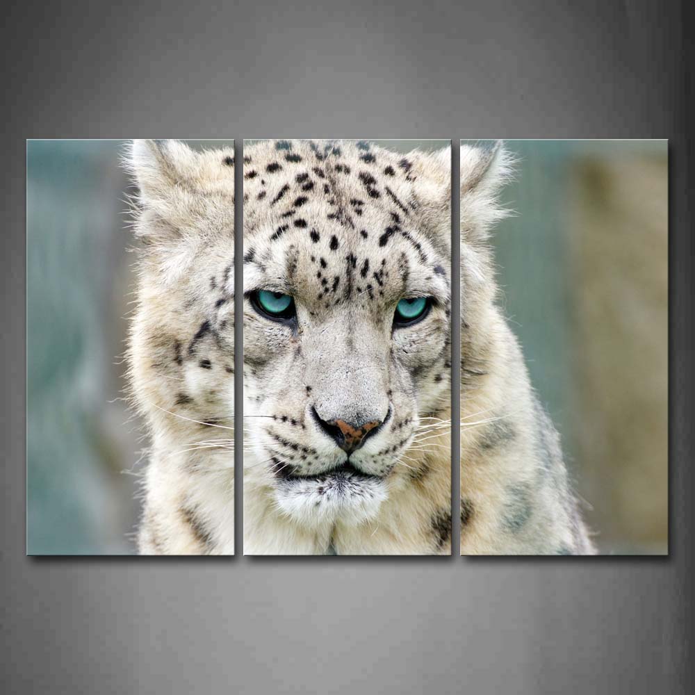 Snow Leopard Head  Wall Art Painting The Picture Print On Canvas Animal Pictures For Home Decor Decoration Gift 