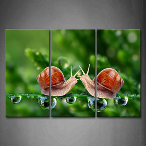 Two Snails Crawl On Grass Drop Of Water Wall Art Painting Pictures Print On Canvas Animal The Picture For Home Modern Decoration 