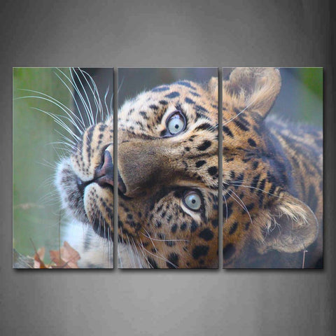 Leopard Head Stare  Wall Art Painting The Picture Print On Canvas Animal Pictures For Home Decor Decoration Gift 