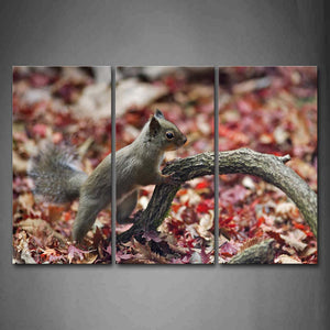 Squirrel Climb On Dry Branch Maple Leafs Autumn Wall Art Painting Pictures Print On Canvas Animal The Picture For Home Modern Decoration 