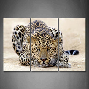 Leopard Bend Over Sand Land Wall Art Painting Pictures Print On Canvas Animal The Picture For Home Modern Decoration 