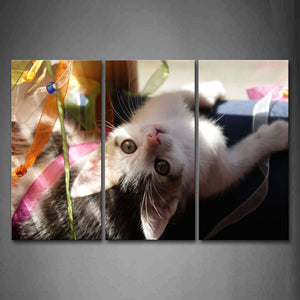 White And Gray Cat  Beautiful Wall Art Painting Pictures Print On Canvas Animal The Picture For Home Modern Decoration 