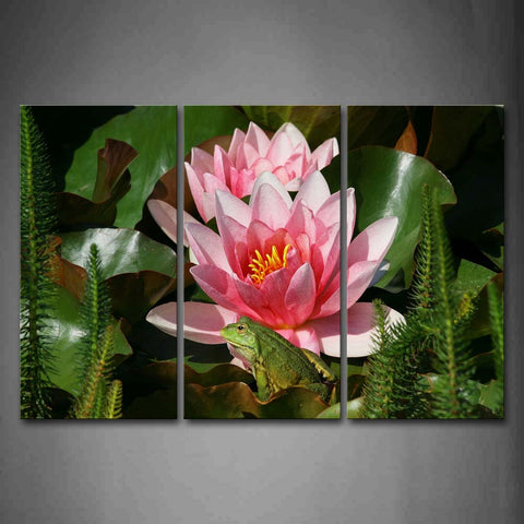 Green Frog Sit On Lotus Leaf And Near Lotus Wall Art Painting The Picture Print On Canvas Flower Pictures For Home Decor Decoration Gift 