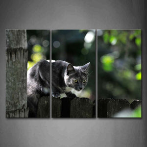 Gray Cat Stand On Fence Wall Art Painting Pictures Print On Canvas Animal The Picture For Home Modern Decoration 