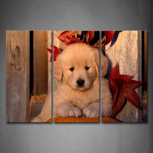 Golden Retriever Bend Over Pumpkin Maple Leafs Wall Art Painting The Picture Print On Canvas Animal Pictures For Home Decor Decoration Gift 