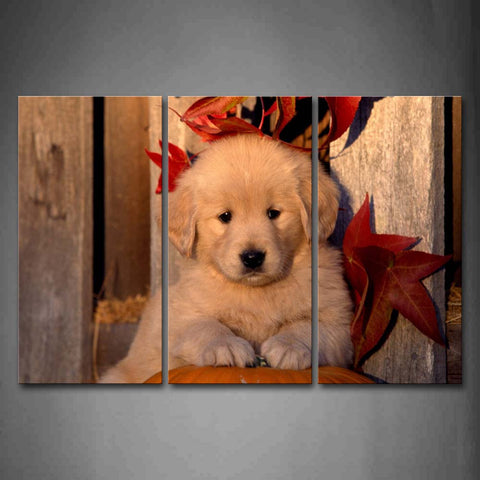 Golden Retriever Bend Over Pumpkin Maple Leafs Wall Art Painting The Picture Print On Canvas Animal Pictures For Home Decor Decoration Gift 