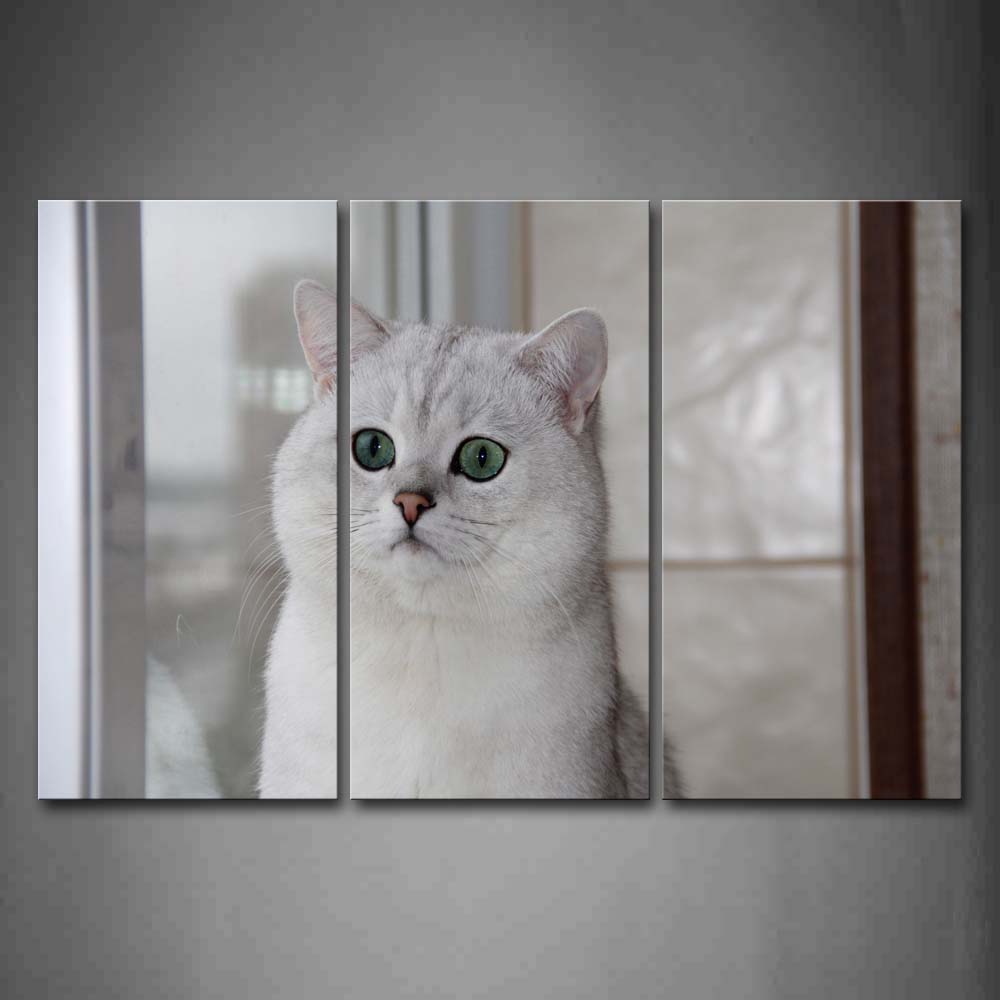 White Cat Sit And Stare At Front Wall Art Painting The Picture Print On Canvas Animal Pictures For Home Decor Decoration Gift 