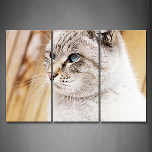 White Cat Portrait Wall Art Painting The Picture Print On Canvas Animal Pictures For Home Decor Decoration Gift 