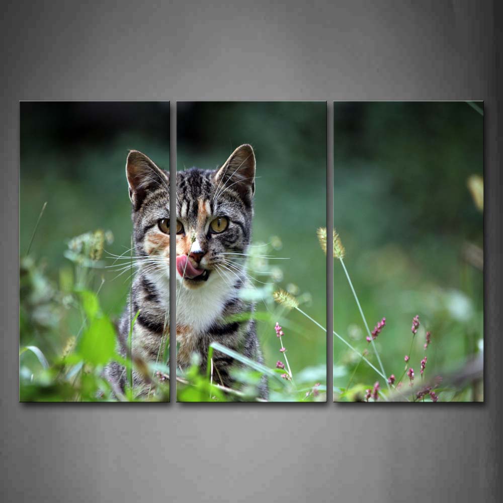 Gray Cat Sit In Grass Wall Art Painting Pictures Print On Canvas Animal The Picture For Home Modern Decoration 