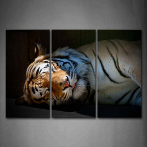 Tiger Sleep Wall Wall Art Painting The Picture Print On Canvas Animal Pictures For Home Decor Decoration Gift 