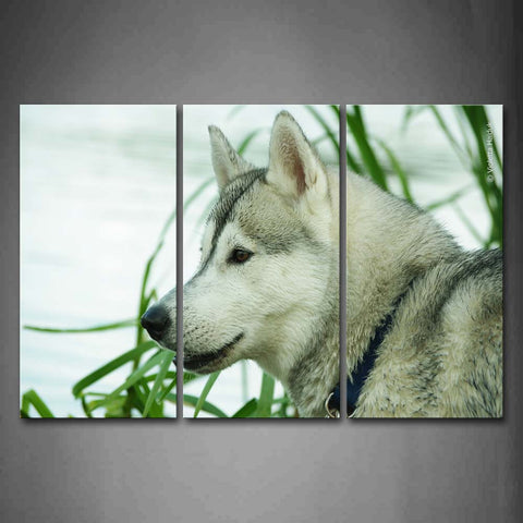 Dog Near Green Grass Lake Wall Art Painting Pictures Print On Canvas Animal The Picture For Home Modern Decoration 