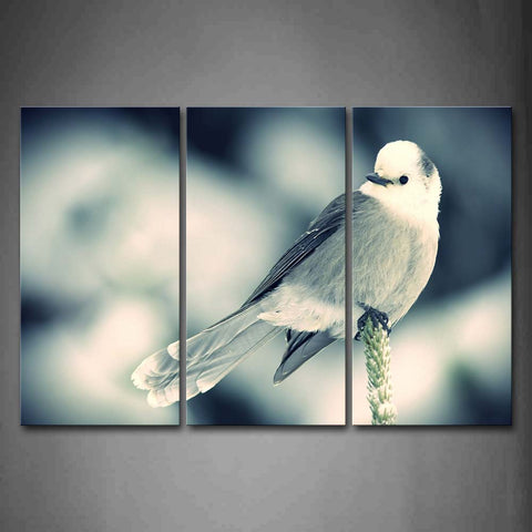 Bird Stand On A Plant  Wall Art Painting The Picture Print On Canvas Animal Pictures For Home Decor Decoration Gift 