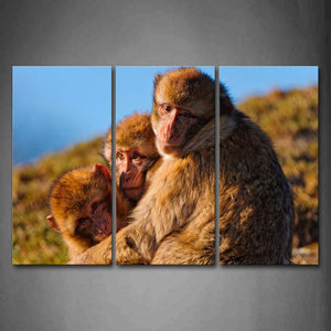 Mother Monkey And Two Cub Embrace Together Wall Art Painting The Picture Print On Canvas Animal Pictures For Home Decor Decoration Gift 