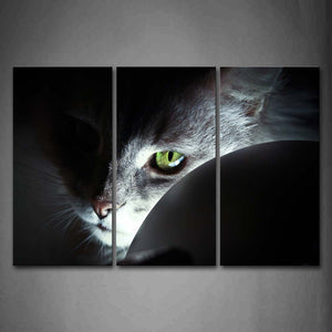 Black And White Cat Head At Noght Light  Wall Art Painting Pictures Print On Canvas Animal The Picture For Home Modern Decoration 