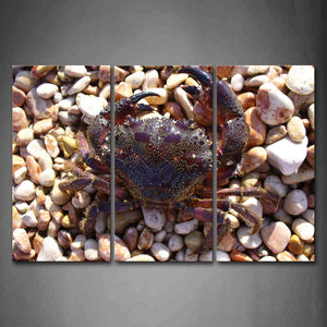 Crab Crawl On Stones Wall Art Painting The Picture Print On Canvas Animal Pictures For Home Decor Decoration Gift 