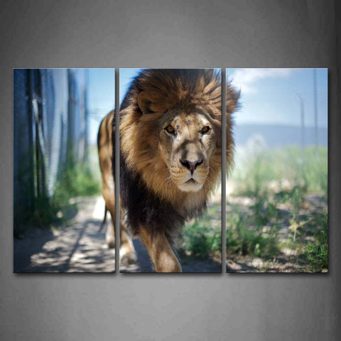 Lion Walk On Land Wall Art Painting Pictures Print On Canvas Animal The Picture For Home Modern Decoration 