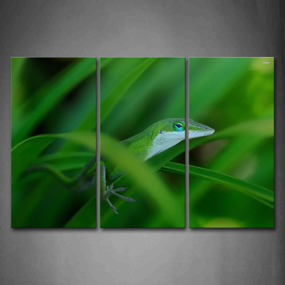 Green Anole Climb On Green Leafs Wall Art Painting Pictures Print On Canvas Animal The Picture For Home Modern Decoration 