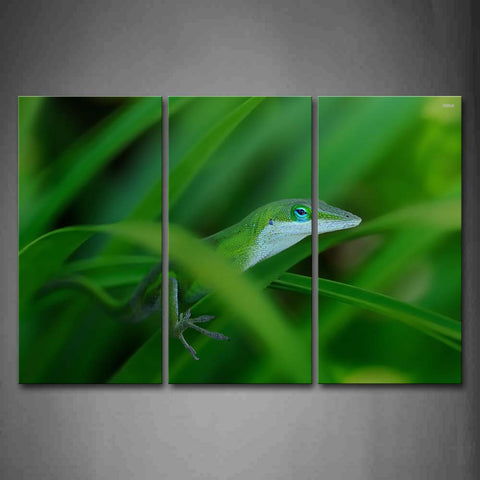 Green Anole Climb On Green Leafs Wall Art Painting Pictures Print On Canvas Animal The Picture For Home Modern Decoration 