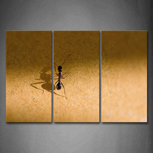 Ant Crawl On Sand Wall Art Painting The Picture Print On Canvas Animal Pictures For Home Decor Decoration Gift 