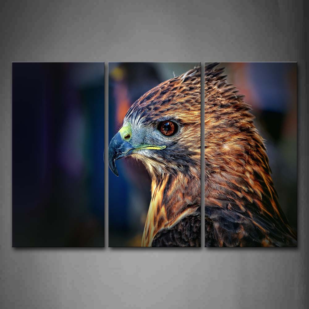 Falcon Head  Wall Art Painting Pictures Print On Canvas Animal The Picture For Home Modern Decoration 