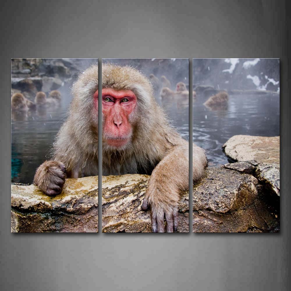 Japanese Macaques In Water  Of One Wall Art Painting The Picture Print On Canvas Animal Pictures For Home Decor Decoration Gift 