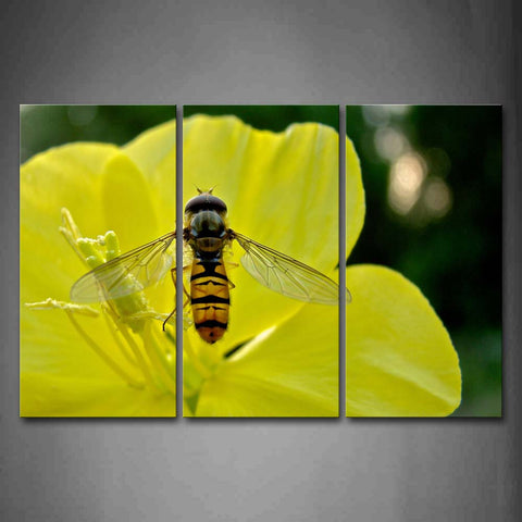 Bee Is Gather Honey In Yellow Flower Wall Art Painting Pictures Print On Canvas Animal The Picture For Home Modern Decoration 