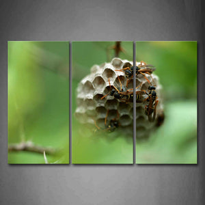 Bees Are Nesting Wall Art Painting The Picture Print On Canvas Animal Pictures For Home Decor Decoration Gift 