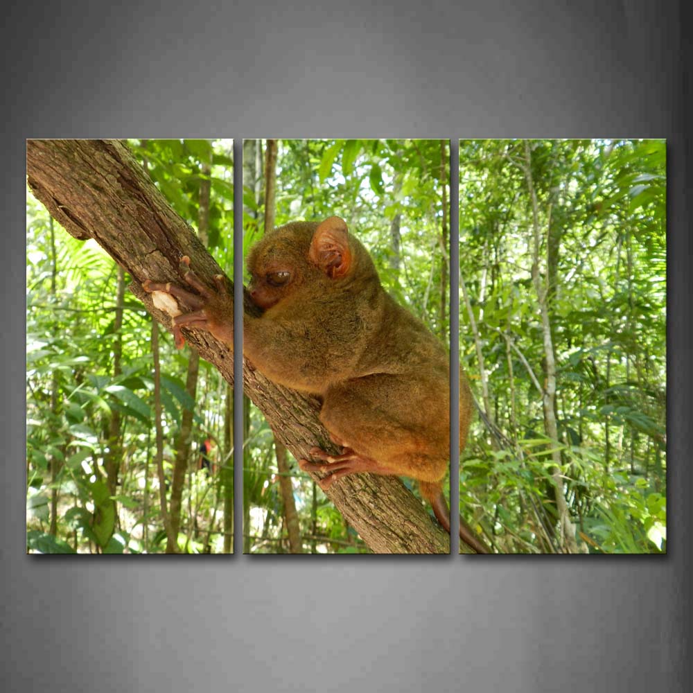 Tarsier Climb On Wood Forest Wall Art Painting Pictures Print On Canvas Animal The Picture For Home Modern Decoration 