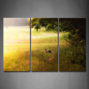 Yellow Orange Brown Rabbit Walk In Grassland Tree Wall Art Painting The Picture Print On Canvas Animal Pictures For Home Decor Decoration Gift 