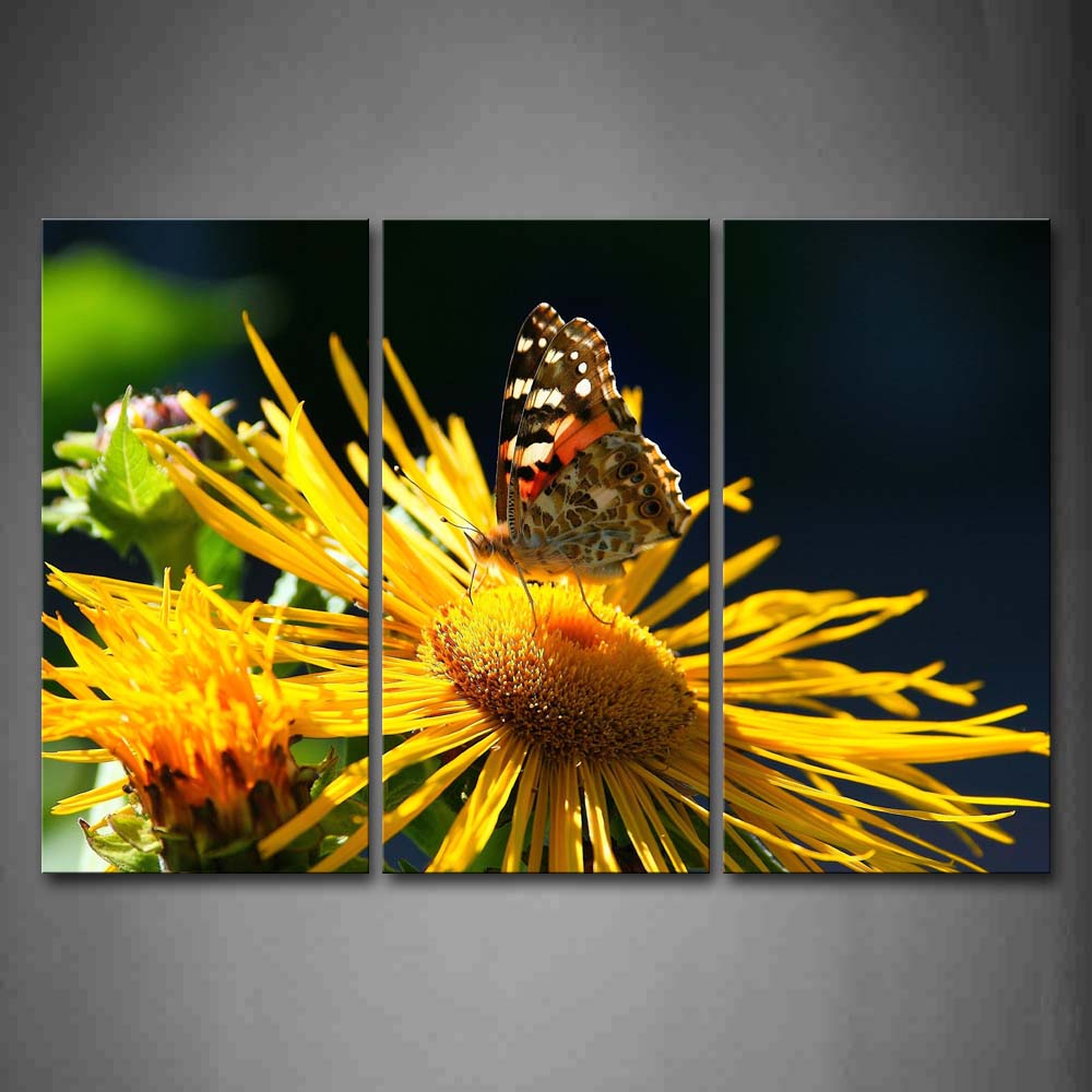 Butterfly Stand On Yellow Flower Wall Art Painting Pictures Print On Canvas Animal The Picture For Home Modern Decoration 