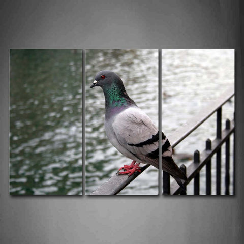 Bird Stand On Fence River Wall Art Painting Pictures Print On Canvas Animal The Picture For Home Modern Decoration 