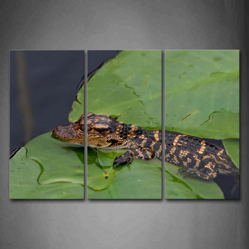 Baby Crocodile In Water And Crawl On Leafs Wall Art Painting The Picture Print On Canvas Animal Pictures For Home Decor Decoration Gift 