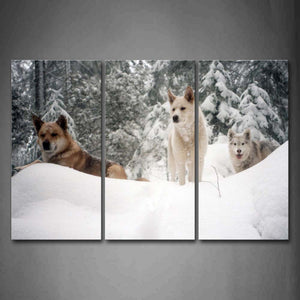 Three Dogs Sit On Snowfield Trees Wall Art Painting Pictures Print On Canvas Animal The Picture For Home Modern Decoration 