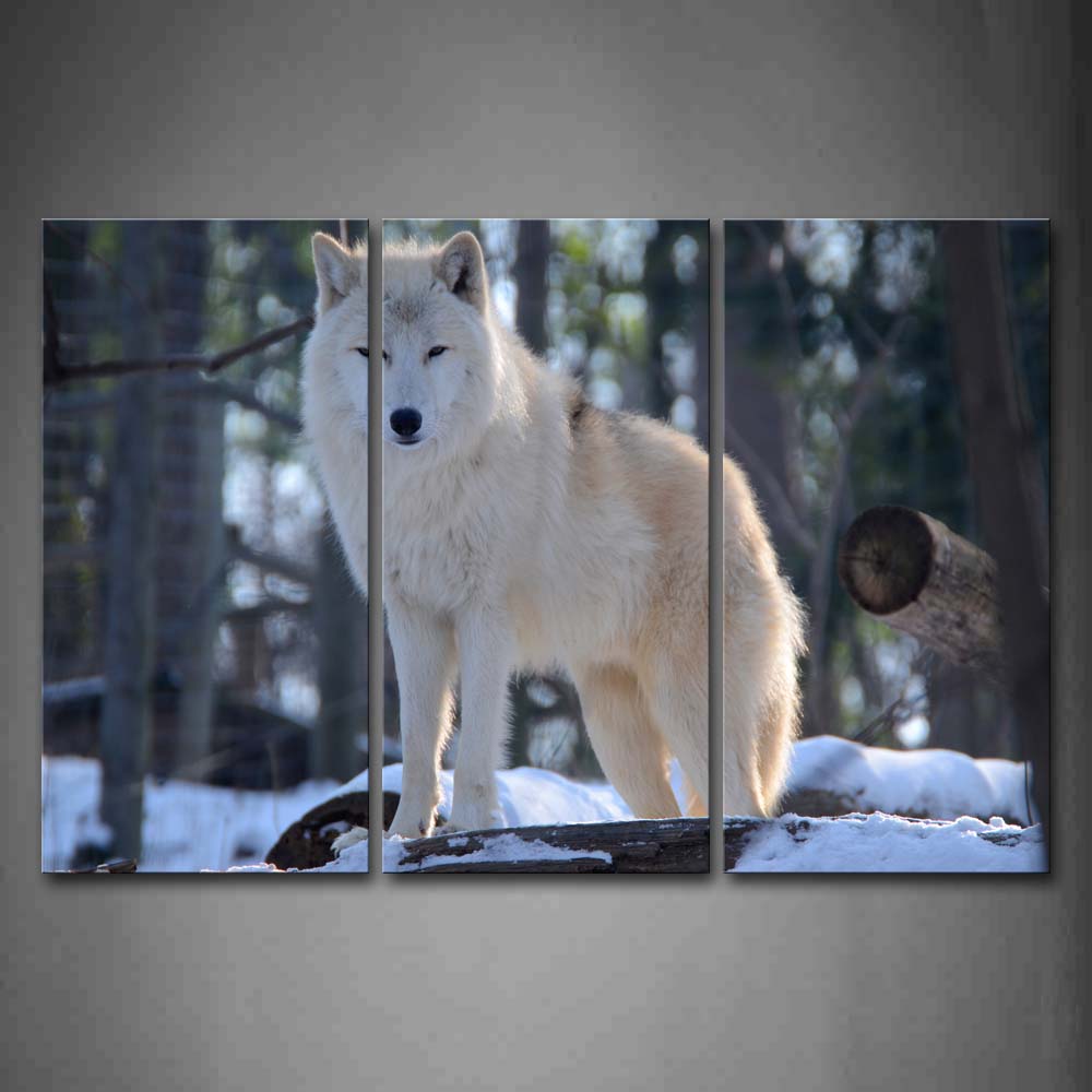 Wolf Stand On Snowfield Woof Trees Wall Art Painting The Picture Print On Canvas Animal Pictures For Home Decor Decoration Gift 