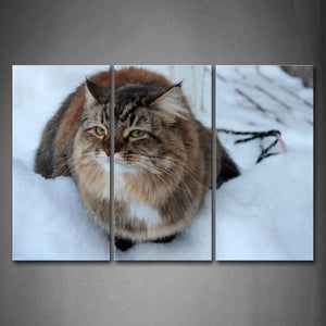 Cat Sit On Snowfield Wall Art Painting The Picture Print On Canvas Animal Pictures For Home Decor Decoration Gift 