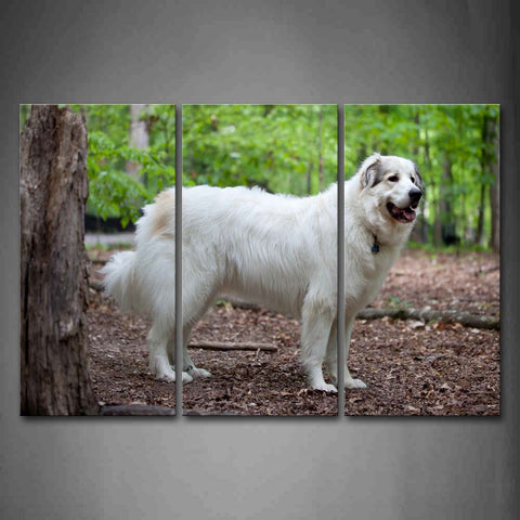 White Dog Stand On Forest  Wall Art Painting Pictures Print On Canvas Animal The Picture For Home Modern Decoration 