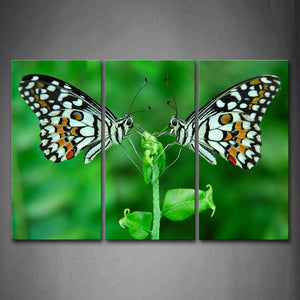 Two Butterfly Stand On Aplant Wall Art Painting The Picture Print On Canvas Animal Pictures For Home Decor Decoration Gift 