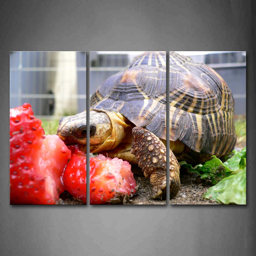 Box Tortoise Is Eating Strawberry Wall Art Painting The Picture Print On Canvas Animal Pictures For Home Decor Decoration Gift 