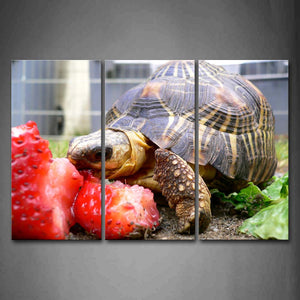 Box Tortoise Is Eating Strawberry Wall Art Painting The Picture Print On Canvas Animal Pictures For Home Decor Decoration Gift 