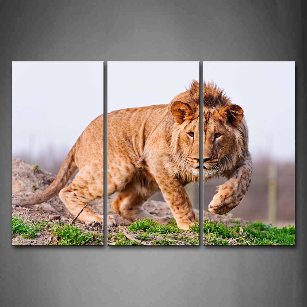 Lionstand On Land Green Grass Wall Art Painting The Picture Print On Canvas Animal Pictures For Home Decor Decoration Gift 