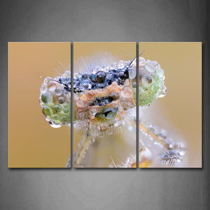 Dragonfly Head  Drop Of Water Wall Art Painting Pictures Print On Canvas Animal The Picture For Home Modern Decoration 