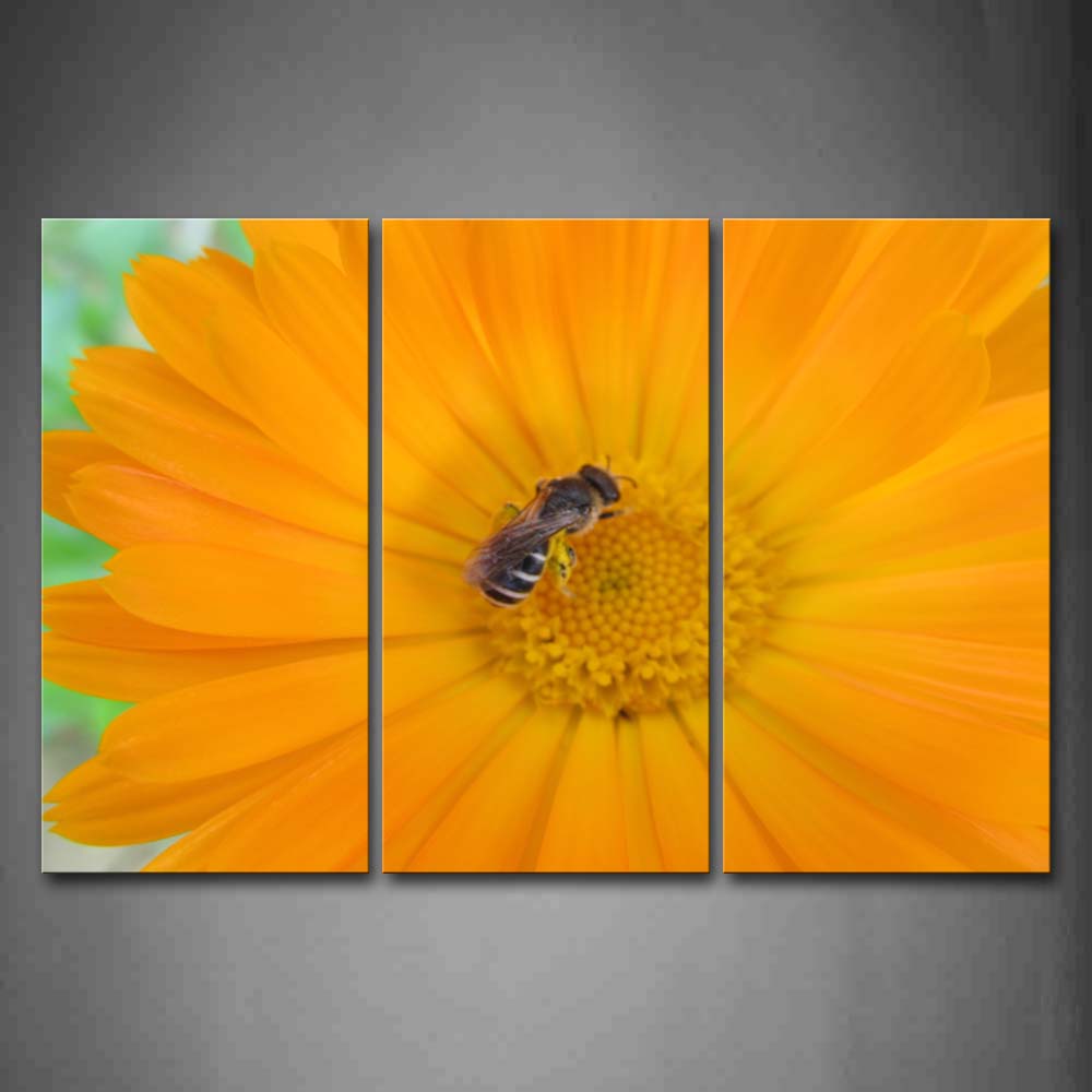 Bee Is Gather Honey On Yellow Flower Wall Art Painting Pictures Print On Canvas Flower The Picture For Home Modern Decoration 