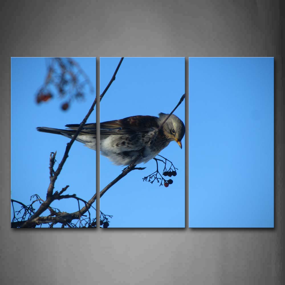 Bird Stand On Branch Blue Sky Wall Art Painting The Picture Print On Canvas Animal Pictures For Home Decor Decoration Gift 