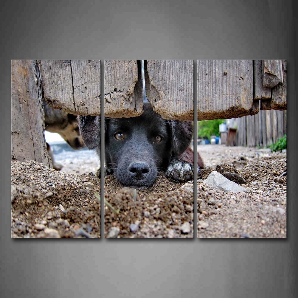 Black Dog Under Door Staring Wall Art Painting The Picture Print On Canvas Animal Pictures For Home Decor Decoration Gift 